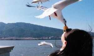 毒蛇还是毒虫咬伤？有无延误治疗？三亚市卫健委介入调查女游客身亡事件